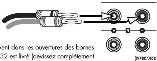 VINCENT SV-232 - Branchement des haut-parleurs - 2