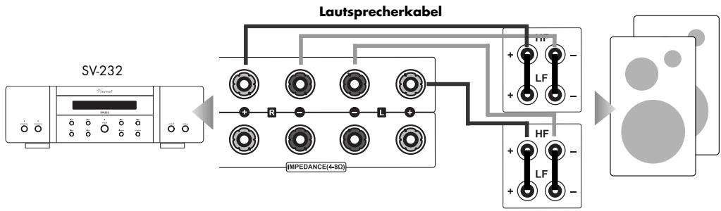VINCENT SV-232 - ANSCHLUSS DER LAUTSPRECHER - 1