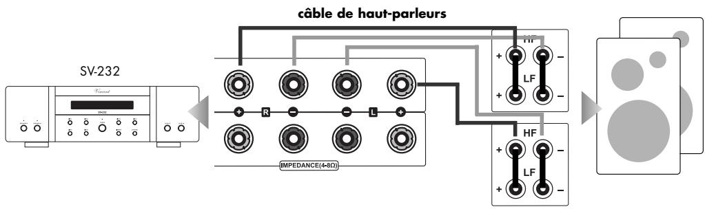 VINCENT SV-232 - Branchement des haut-parleurs - 1