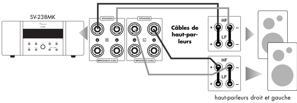 VINCENT SV-238MK - Branchement des haut-parleurs - 1