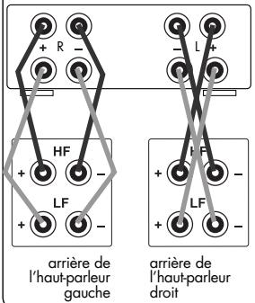 VINCENT SV-238MK - Branchement des haut-parleurs - 1