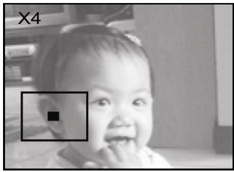 GENIUS DV210 - Lecture zoom - 2