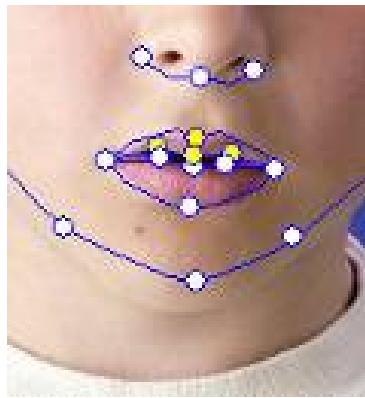 GENIUS SLIM 2020AF - Trucs et suggestions pour les ajustements faciaux - 6