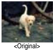 IRIVER IFP-1000 - Photographier - 1