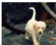 IRIVER IFP-1000 - Photographier - 4