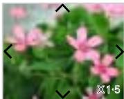 IRIVER IFP-1000 - Visualiser une photo - 2