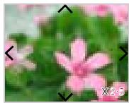 IRIVER IFP-1000 - Visualiser une photo - 4