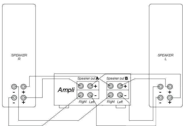 TRIANGLE ANTAL - Bi-wiring and bi-amplification - 2