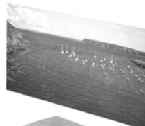 CABASSE CABRERA - 17