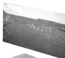 CABASSE FORMENTERA - 17