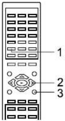 DUAL DVD-900 - Menu DVD - 1
