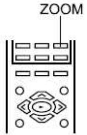DUAL DVD-900 - Fonction de zoom - 1