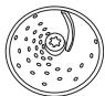 MORPHY RICHARDS FOOD PROCESSOR - GUIA RAPIDA - 1