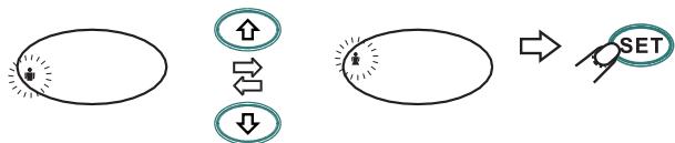 PALSON FITNESS - BBOI NEPCOHAlhHbIX DAHNbIX - 4