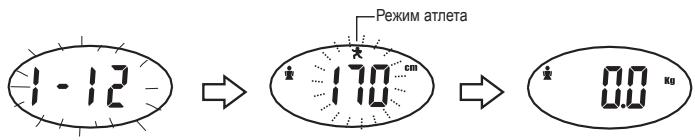 PALSON FITNESS - BBOI NEPCOHAlhHbIX DAHNbIX - 8