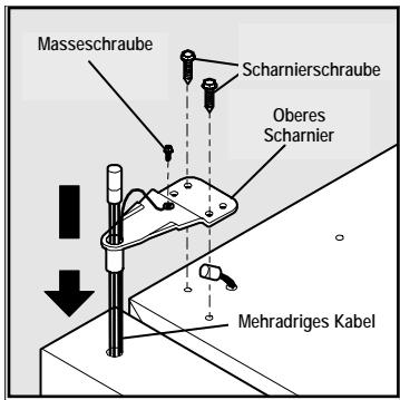 FRIGIDAIRE GLVC25VBDB1 - Abnehmer der Gefrierteiltur: - 3