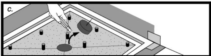 LAZER SHOWER DESIGN FARENHEIT - Poser le sol décoratif - 1