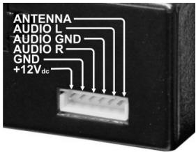 JBSYSTEMS LIGHT MPL-1 - Quelques remarques importantes : - 1