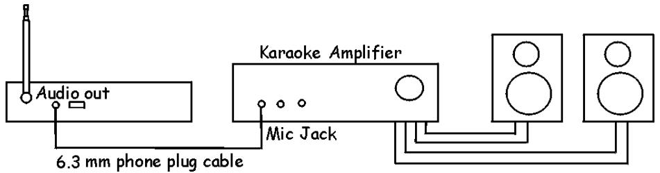 Audio out 6.3 mm phone plug cable Karaoke Amplifier Mic Jack