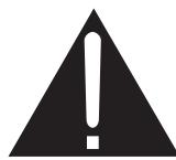 ROTEL RB-1091 - Importanti informazioni di Sicurezza - 7