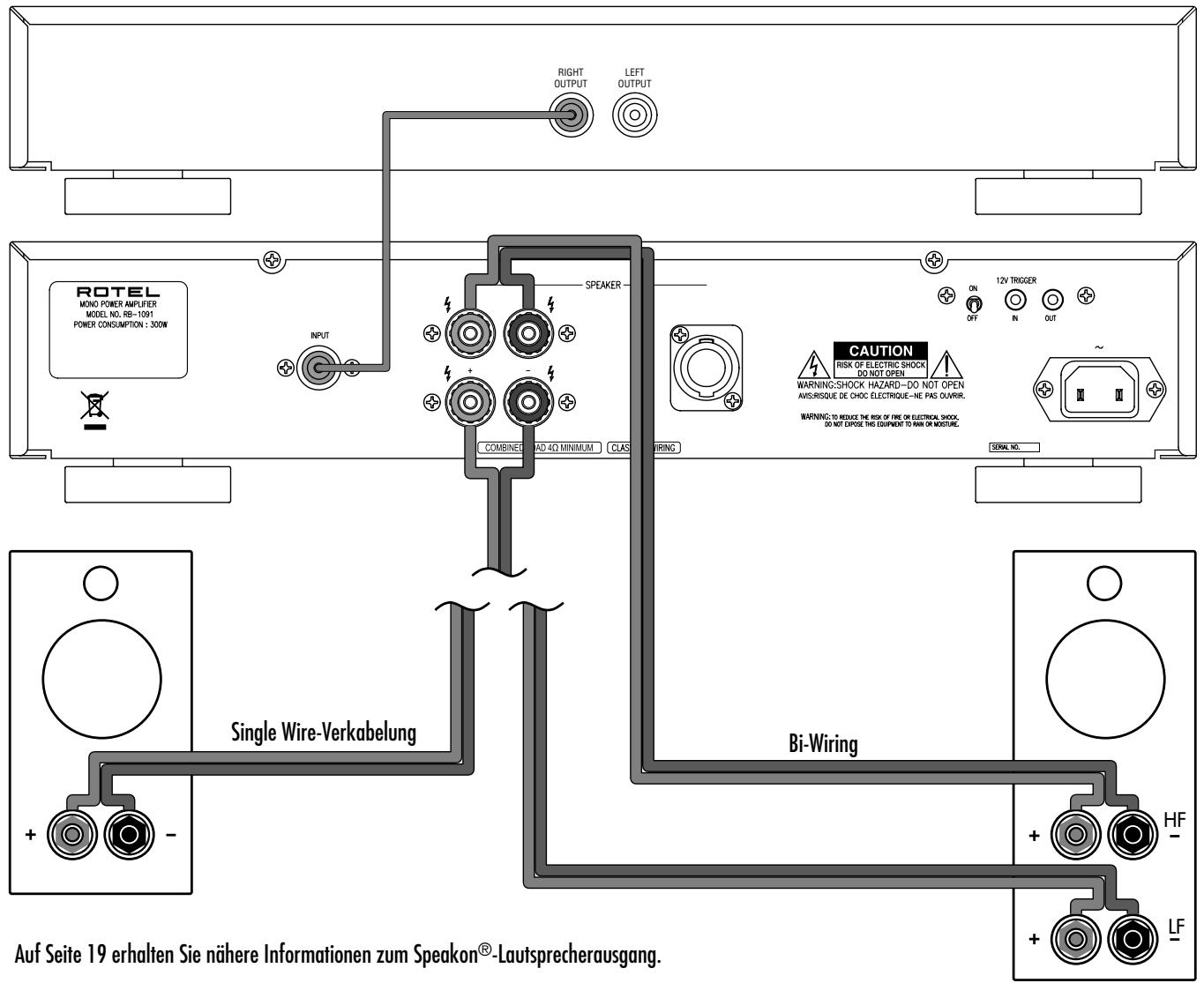 ROTEL RB-1091 - Wichtige Sicherheitshinweise - 10