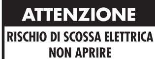 ROTEL RB-1091 - Importanti informazioni di Sicurezza - 4