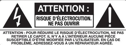ROTEL RDV-1062 - Instructions importantes concernant la sécurité - 3