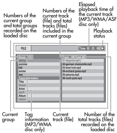 ROTEL RDV-1062 - Playing Other Discs - 1