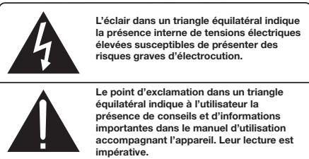 ROTEL RDV-1062 - Instructions importantes concernant la sécurité - 4