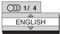 ROTEL RDV-1062 - Selecting the Audio Language - 2
