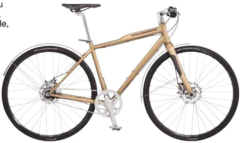 GIANT BICYCLES CITY SPEED CS - 1