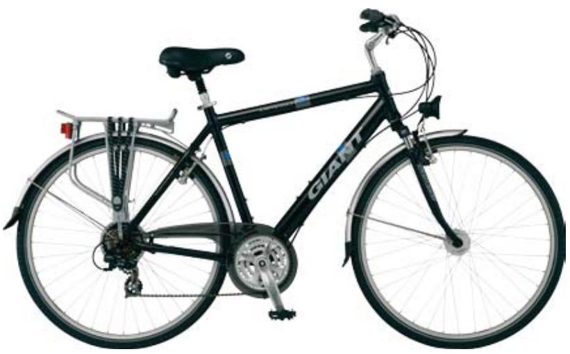 GIANT BICYCLES EXPRESSION - 1