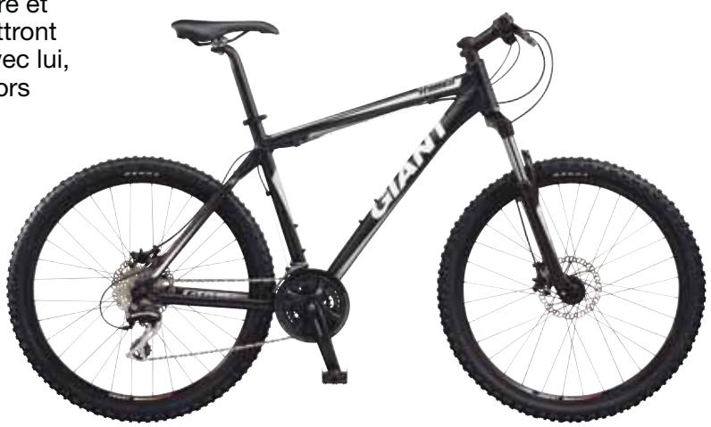 GIANT BICYCLES TERRAGO DISC - 1