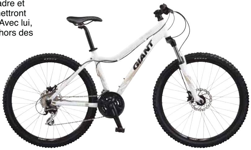GIANT BICYCLES TERRAGO DISC W - 1