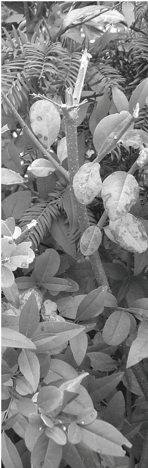 ATIKA ALH 2500 - Záruka - 2