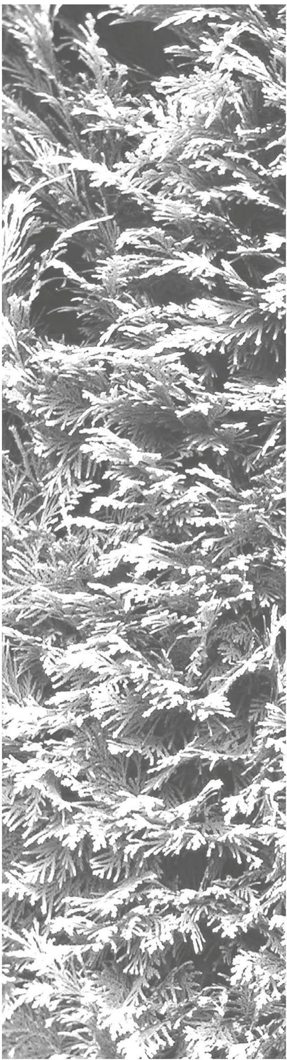 ATIKA HS 600-45 - Garancija - 1