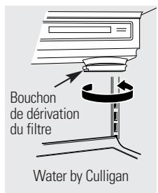 GE SIDE-BY-SIDE REFRIRATOR 22 - Bouchon de dérivation du filtre - 2