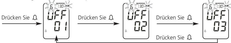 IBP BP 603 - den Alarm einstellen - 1