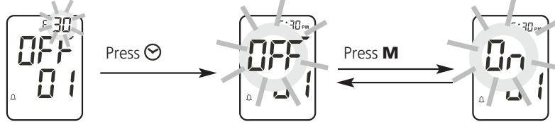 IBP BP 603 - setting the alarm - 2