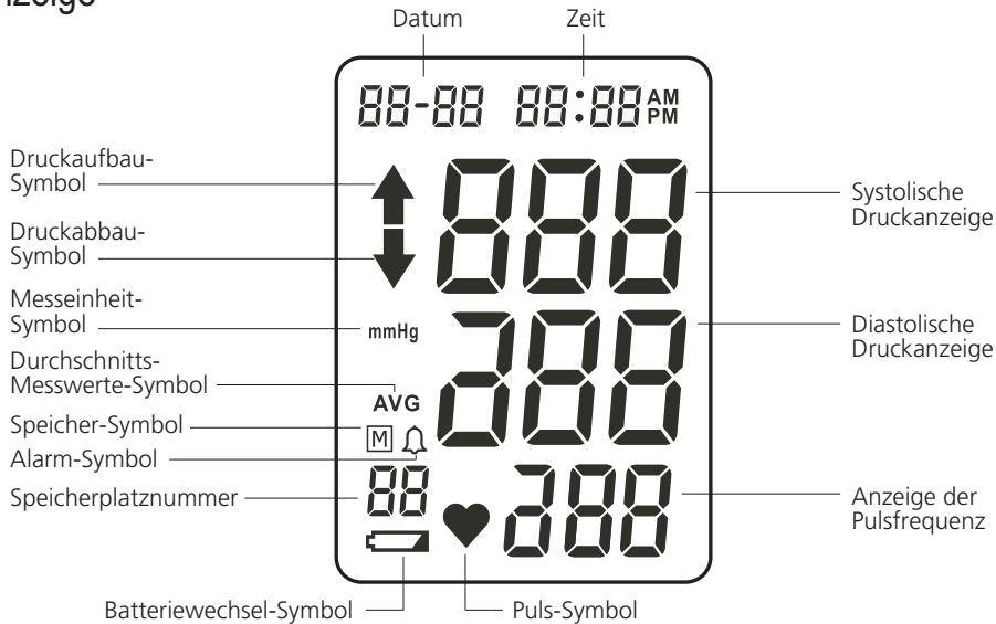 IBP BP 603 - die Anzeige / die Symbole 5 - 1