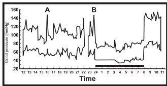 IBP HL 168 V 92 - Classification de pression sanguine WHO - 2