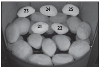 HASE LUNO GAS - Pebble Arrangement: Propane - 1
