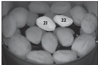 HASE LUNO GAS - Pebble Arrangement: Natural gas - 7