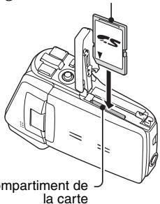LOGICOM-SANYO XACTI VP-CG65 - Insérez la carte mémoire SD. - 1