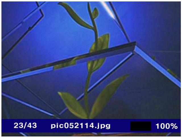 CINEBOX CINE BOX V2 - Marque-page: pour marquer une position spécifique - 2