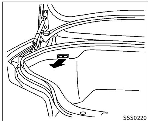 INFINITI G35 COUPE - PRECAUTION - 1