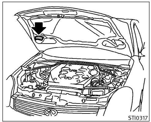 INFINITI G35 COUPE - ÉTIQUETTE D'HOMOLOGATION F.M.V.S.S. / N.S.V.A.C. - 1