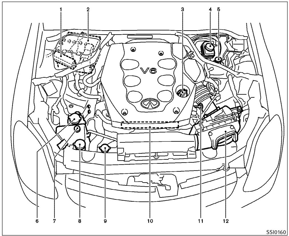 INFINITI G35 COUPE - COUSSINS GONFLABLES, CEINTURES DE SÉCURITÉ ET DISPOSITIFS DE RETENUE POUR ENFANTS - 6