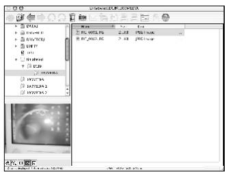 FERRANIA SD-714 - - Télécharger l'image(s) avec ulead photo explorer - 1