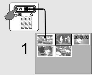 FERRANIA SD-715 - Sous le mode lecture (□) - 1
